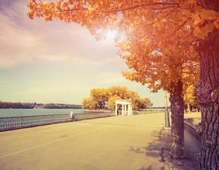 Zelfklevend Fotobehang Herfst herfst stad