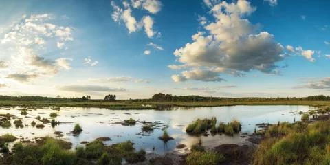 Foto op Plexiglas Zomer Zomer zonsondergang panorama landschap over wetlands