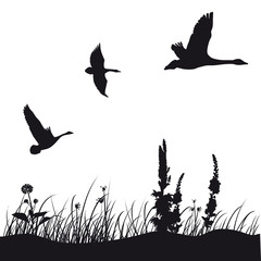 ducks silhouette
