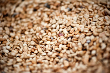 Unroasted raw coffee beans grains background with shallow DOF
