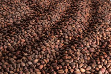 pine nuts