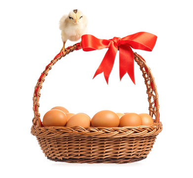 Chickens with basket