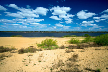 Summer landscape with sandy coast of river