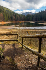 Fototapeta na wymiar pine forest and lake near the mountain