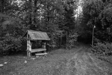 Abandoned buildings in the forest.In the black and white version