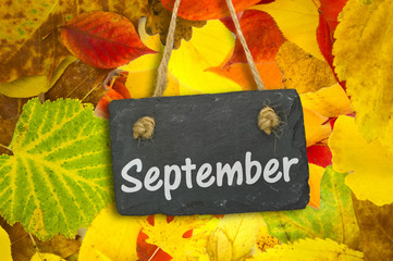 Naklejka premium September