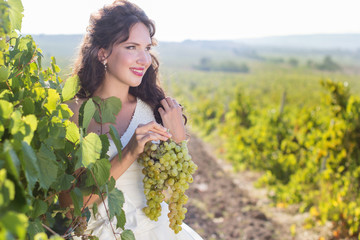 Bride in a vineyard, autumn