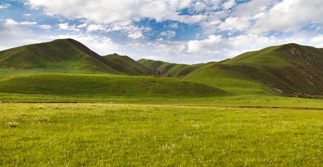 green savanna mountain in Tibet - Qinghai province, China