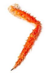 Peruvian King crab leg isolated on a white studio background.