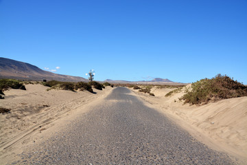 carretera en el desierto