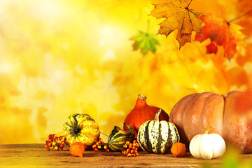 Fototapeta na wymiar Beautiful autumn background