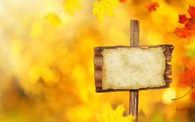 Beautiful autumn background