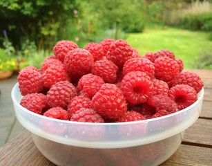 Raspberries
