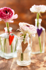 ranunculus in vase