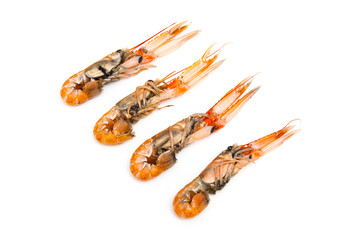 Langoustine  (Nephrops norvegicus) isolated on a white studio ba
