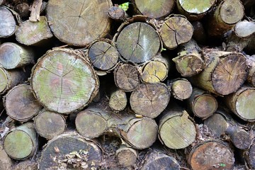 Wooden surface with abstract pattern