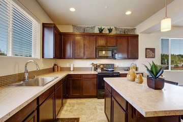 Modern elegant kitchen room with island