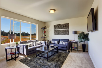 Living room with light lavender couches