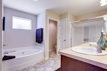 Fototapeta na wymiar Refreshing white bathroom with glass door and bath tub