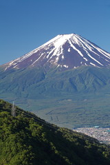 Naklejka premium Mt Fuji in summer season from Kawaguchiko lake
