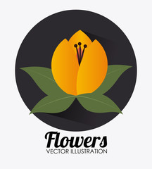 Flowers design