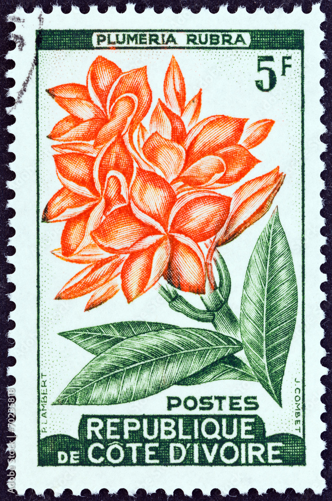 Sticker plumeria rubra plant (ivory coast 1961)