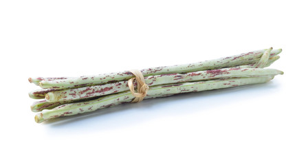 Purple yard long bean