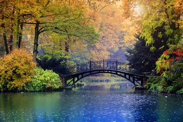 Fototapeten Herbst - Alte Brücke im herbstlichen nebligen Park © Gorilla