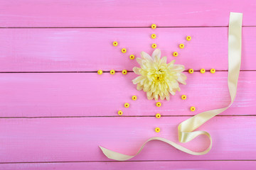 beautiful chrysanthemum flower on pink wooden background