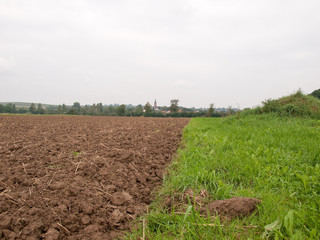 the view of ploughed field and the meadow