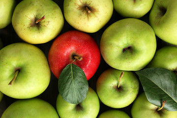 Juicy apples, close-up