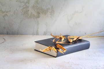 Dried flower on a Book
