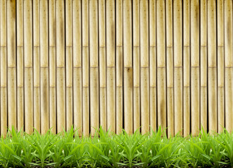 bamboo background
