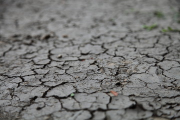 Cracked soil ground into the dry season