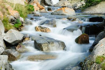 torrente