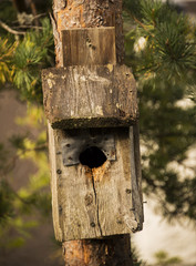 Old nesting box