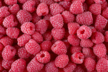 Ripe sweet raspberries close-up