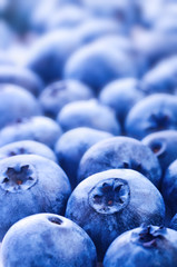 Fresh ripe bilberry close up