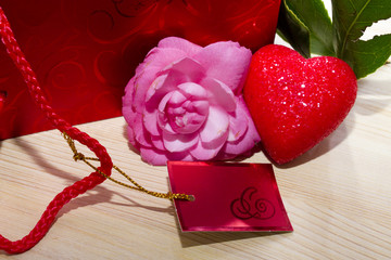 pink camillia
