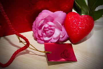 pink camillia