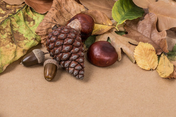 autumn background