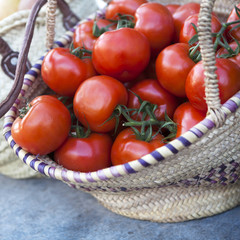 Fresh tomatoes from farm in a basket