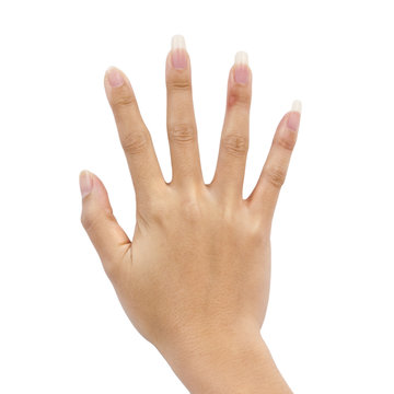 Hand of a woman on white background