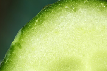 Cucumber close-up