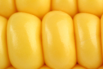 Corn close-up