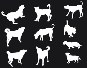 ten white silhouettes of dog
