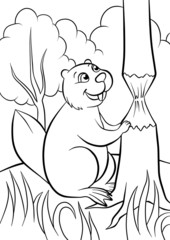 happy beaver in the forest