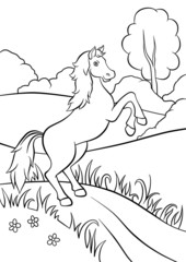Horse standing on the road in field