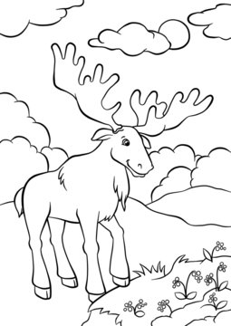 Elk standing in the forest and looking at berries