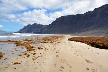 panoramica de la playa de famara en la isla de lanzarote